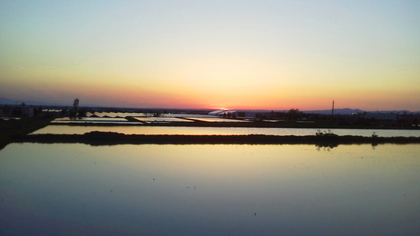 f:id:nyancotan:20190513184600j:plain