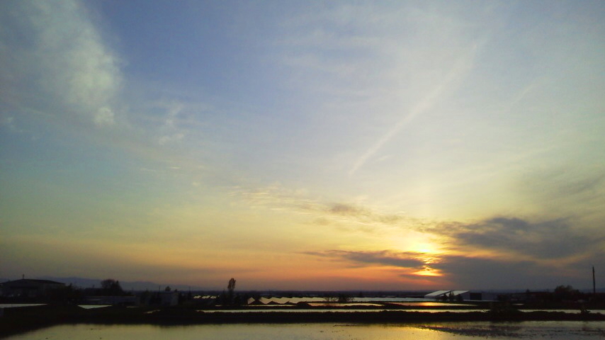 f:id:nyancotan:20190514183000j:plain