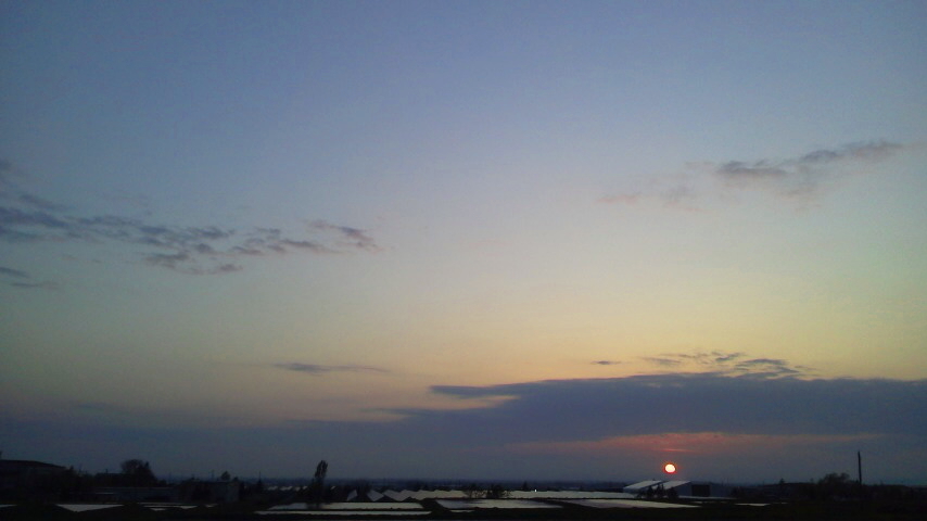 f:id:nyancotan:20190515184200j:plain f:id:nyancotan:20190515184200j:plain