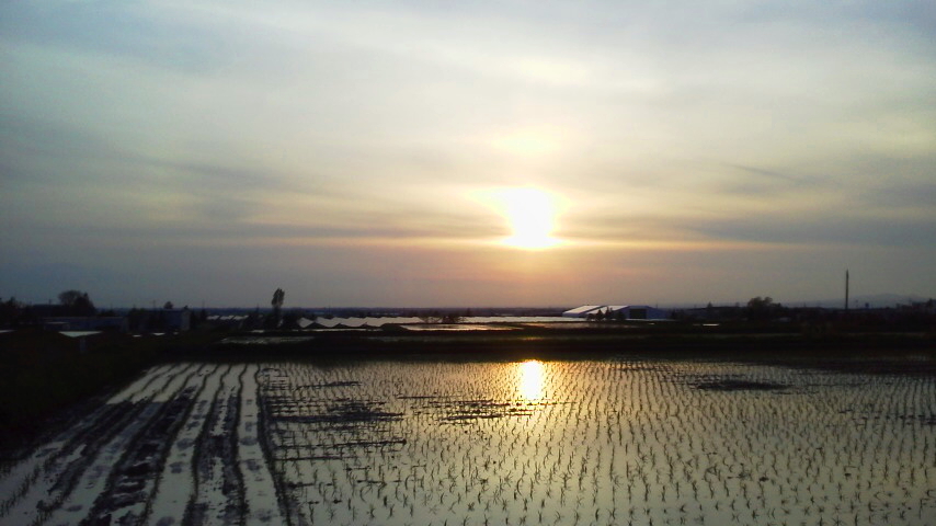 f:id:nyancotan:20190516181700j:plain