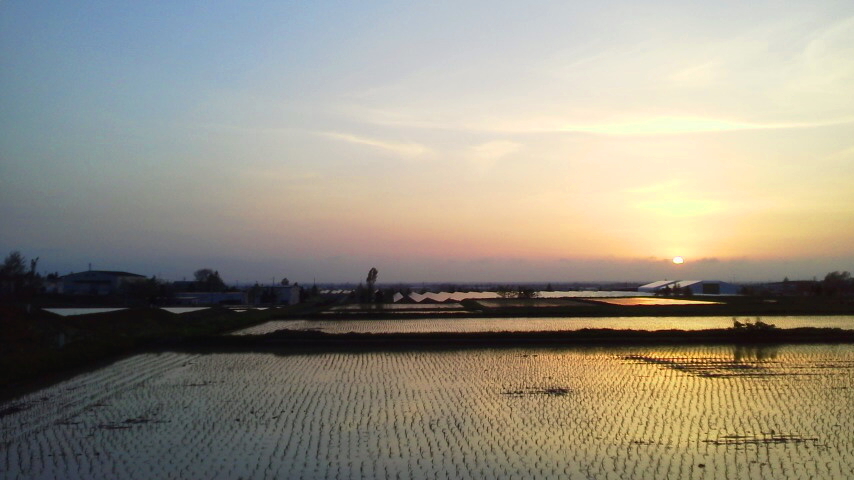 f:id:nyancotan:20190517184000j:plain