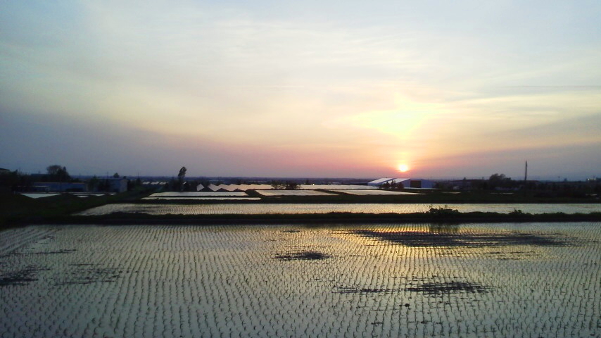 f:id:nyancotan:20190518184400j:plain