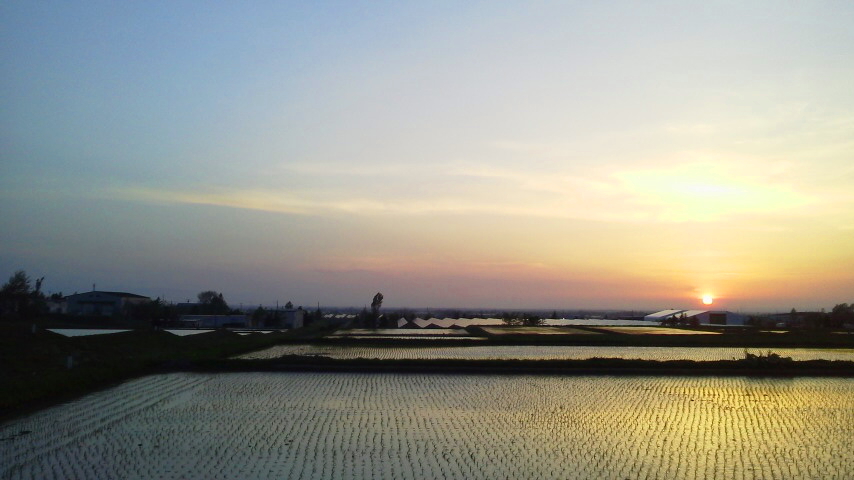 f:id:nyancotan:20190519184700j:plain