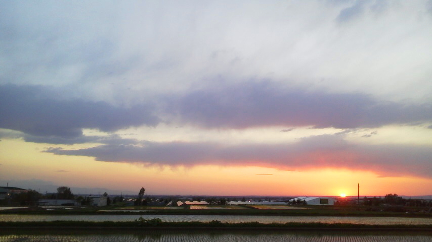 f:id:nyancotan:20190522185300j:plain