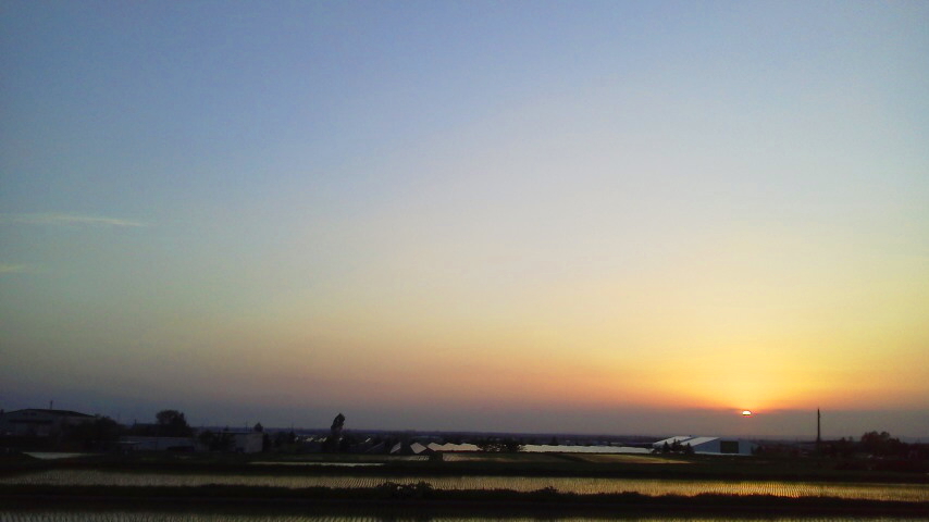 f:id:nyancotan:20190523184600j:plain