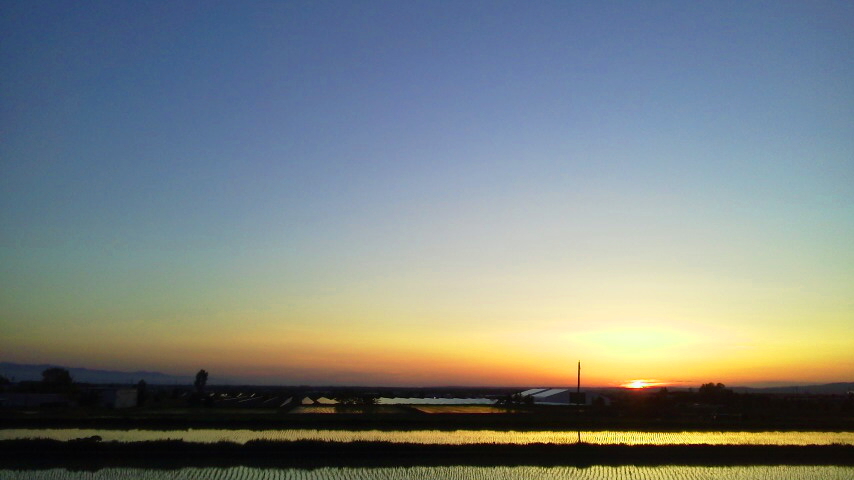 f:id:nyancotan:20190524185500j:plain f:id:nyancotan:20190524185500j:plain