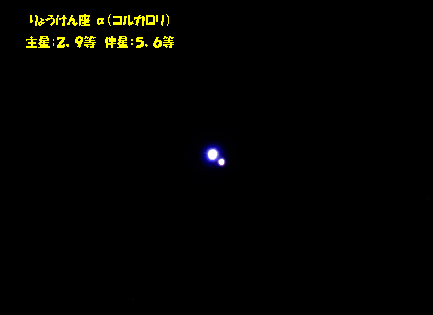 f:id:nyancotan:20190525081023j:plain f:id:nyancotan:20190525081023j:plain