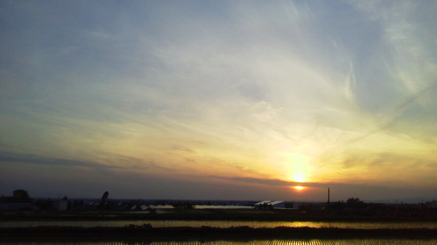 f:id:nyancotan:20190527184500j:plain f:id:nyancotan:20190527184500j:plain