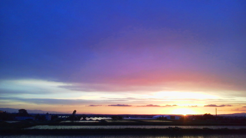 f:id:nyancotan:20190528190000j:plain