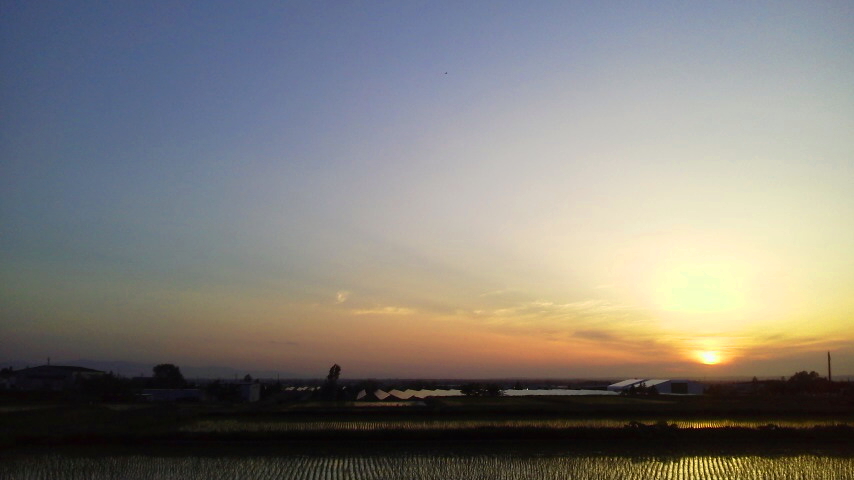 f:id:nyancotan:20190530185400j:plain