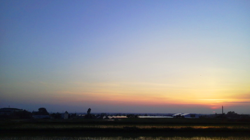 f:id:nyancotan:20190603190300j:plain