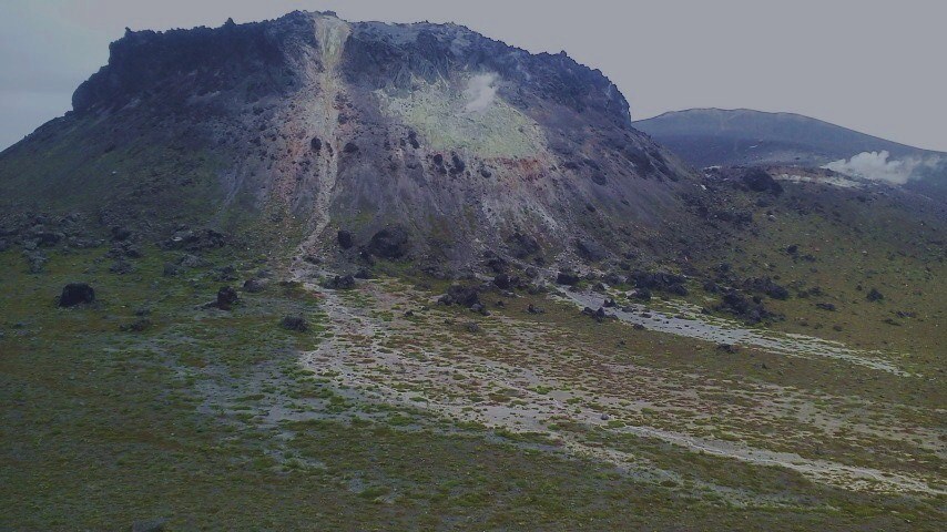 f:id:nyancotan:20190612105900j:plain