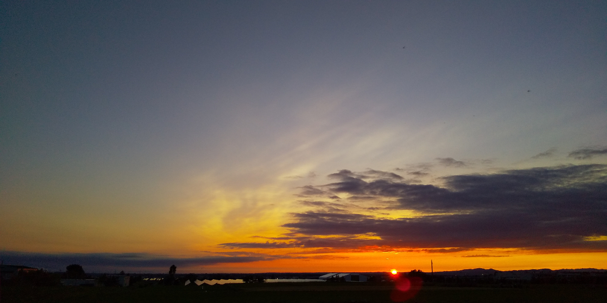 f:id:nyancotan:20190703191429j:plain