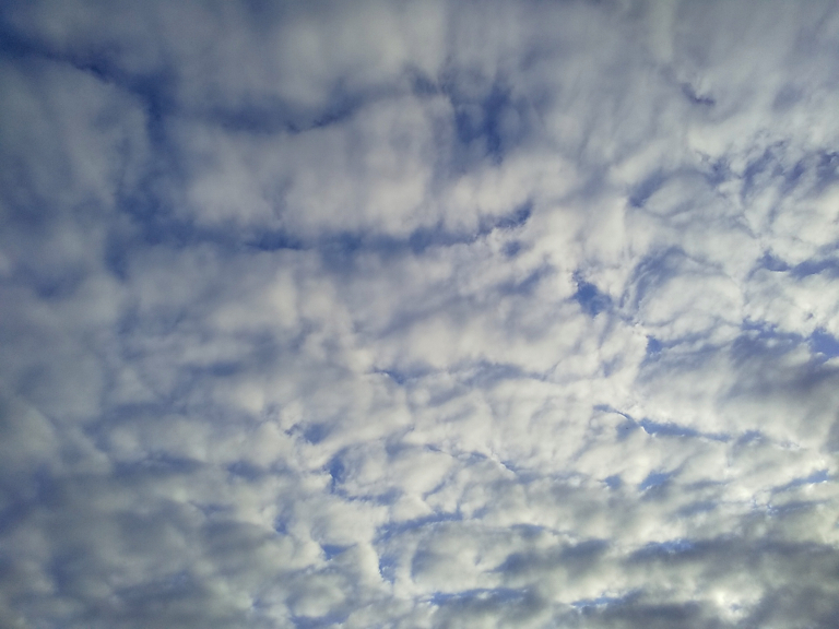 f:id:nyancotan:20190716175921j:plain