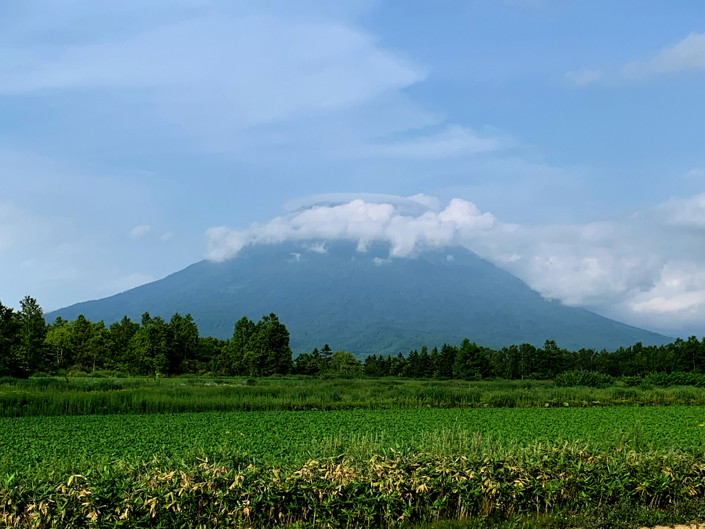 f:id:nyancotan:20190728163640j:plain