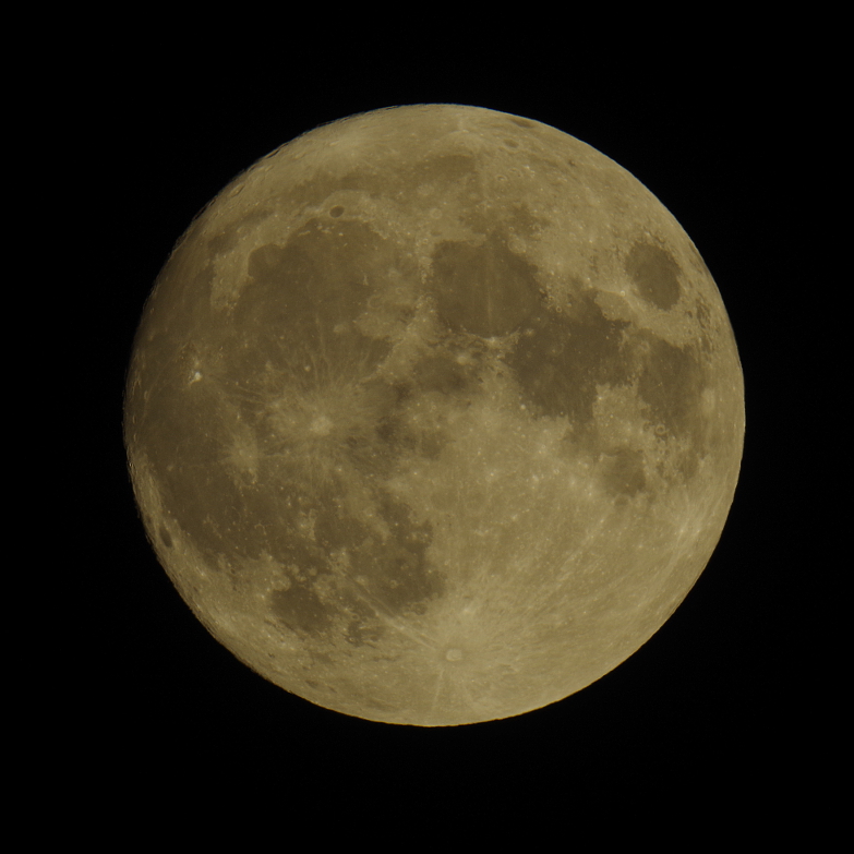 f:id:nyancotan:20190913192111j:plain