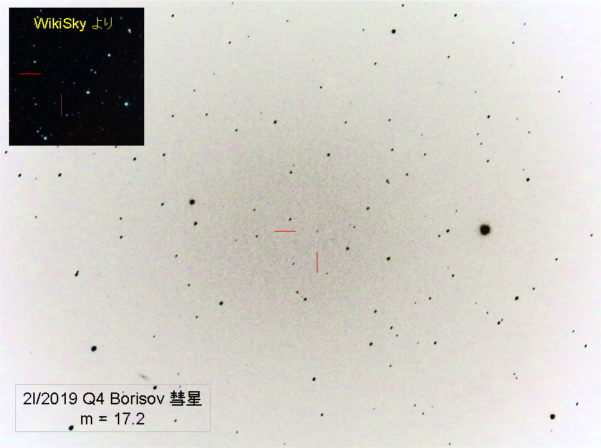 f:id:nyancotan:20190930071124j:plain