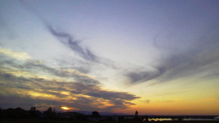 f:id:nyancotan:20191018163700j:plain