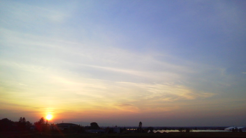 f:id:nyancotan:20191021162800j:plain