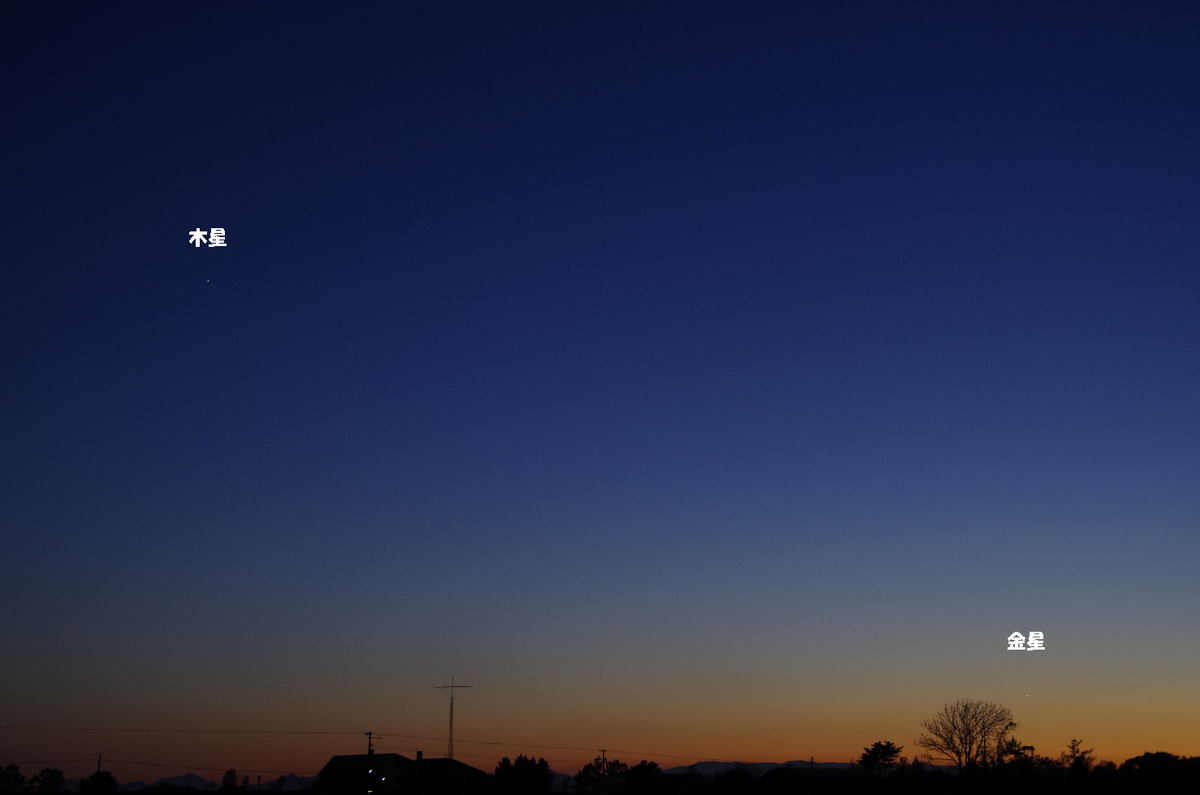 f:id:nyancotan:20191029083621j:plain