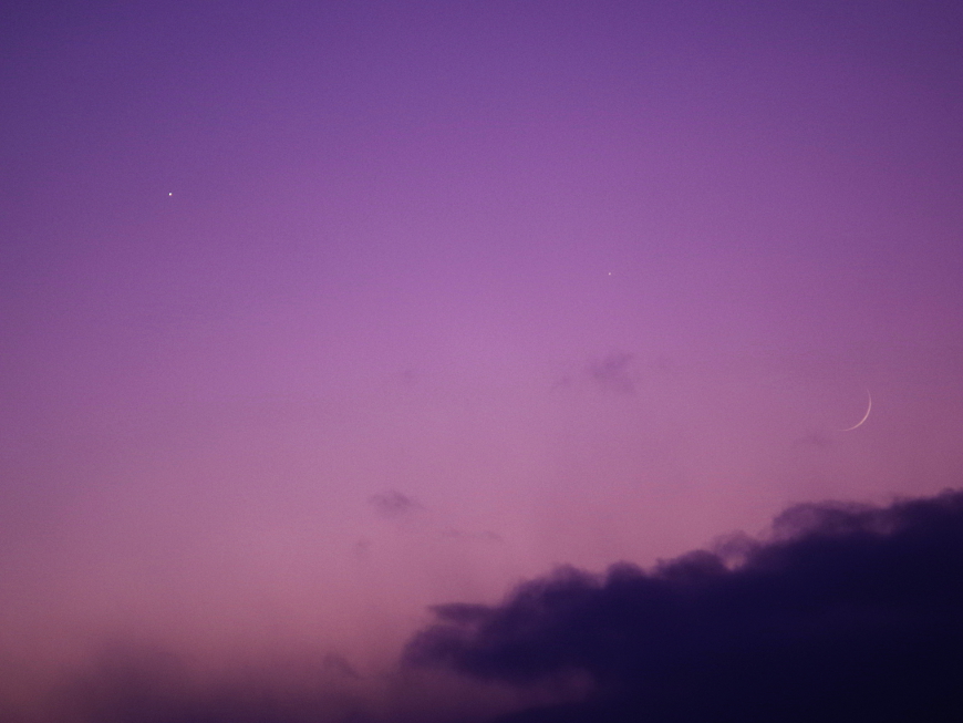 f:id:nyancotan:20191128162033j:plain