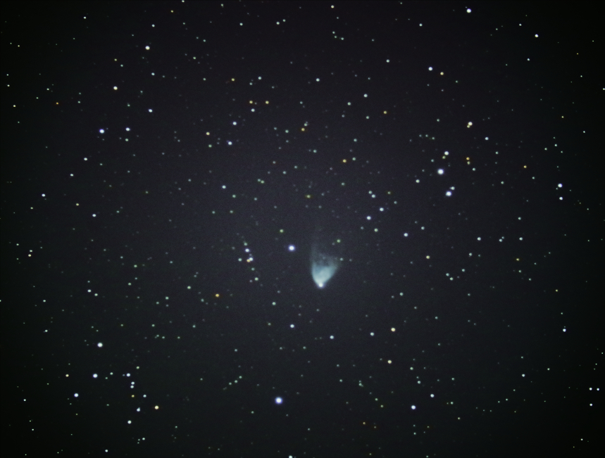 f:id:nyancotan:20191231071248j:plain f:id:nyancotan:20191231071248j:plain