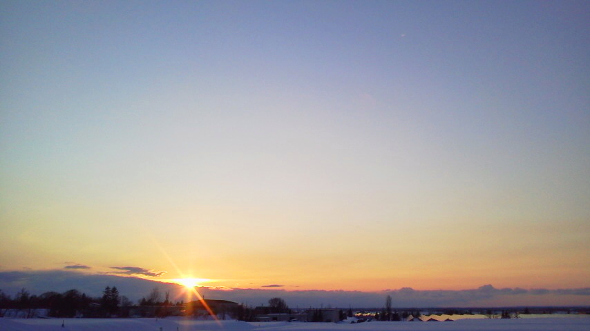 f:id:nyancotan:20200225170100j:plain f:id:nyancotan:20200225170100j:plain