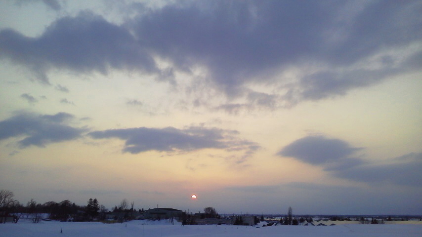 f:id:nyancotan:20200309073846j:plain f:id:nyancotan:20200309073846j:plain