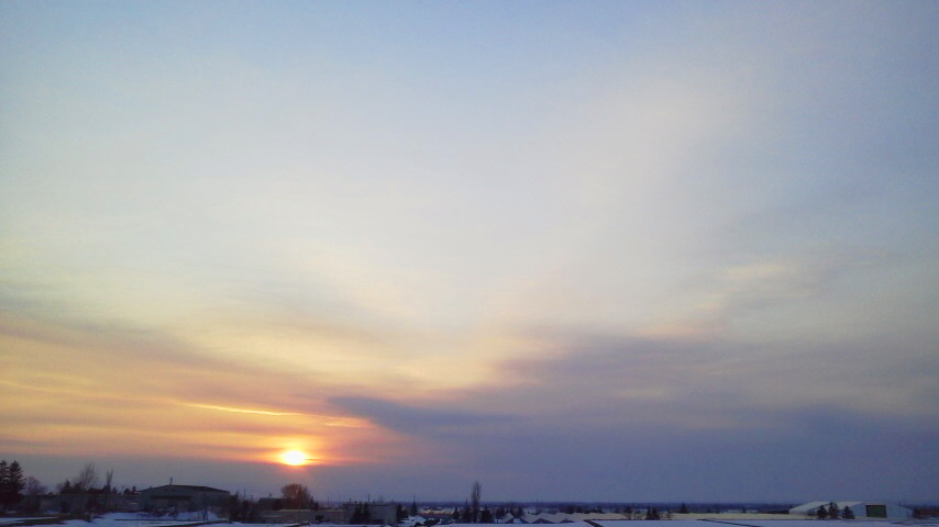 f:id:nyancotan:20200313071234j:plain