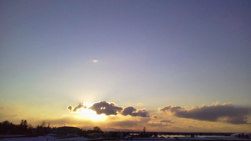 f:id:nyancotan:20200317073522j:plain