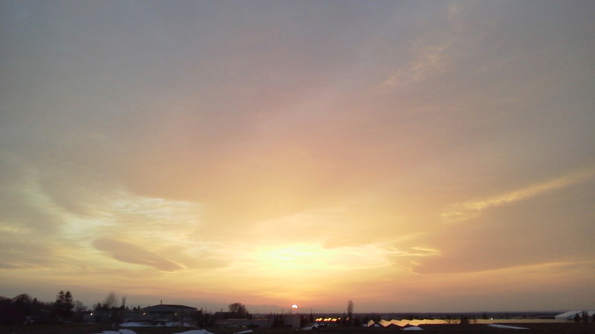 f:id:nyancotan:20200319173900j:plain