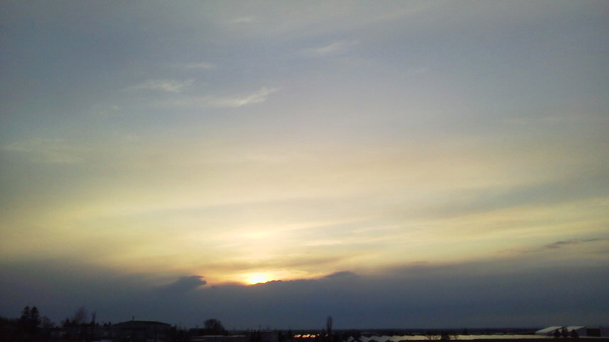 f:id:nyancotan:20200322172500j:plain