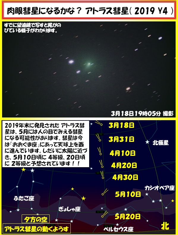 f:id:nyancotan:20200323075452j:plain