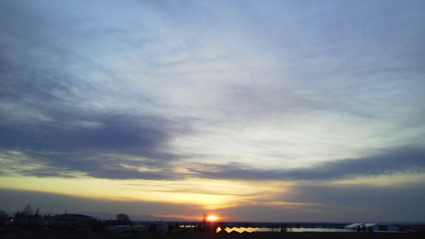 f:id:nyancotan:20200331175300j:plain