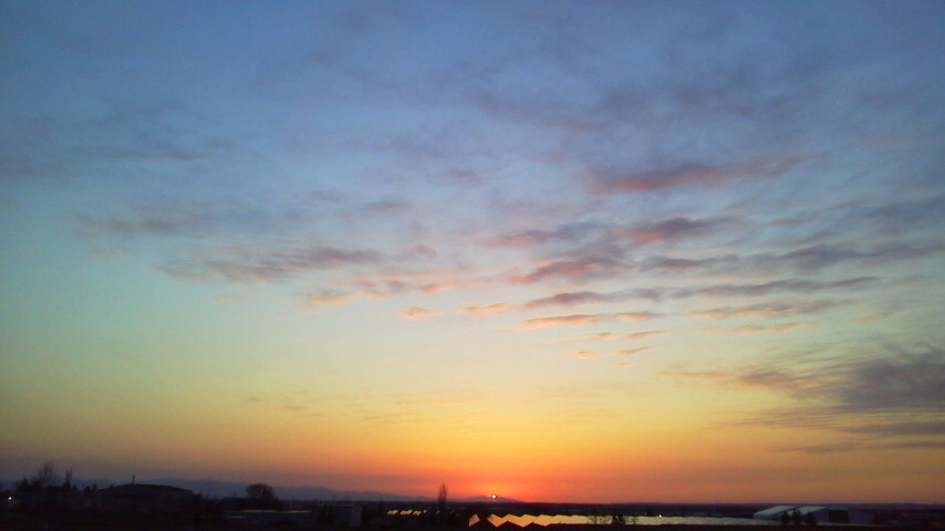 f:id:nyancotan:20200403180000j:plain