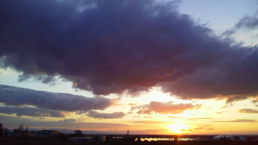 f:id:nyancotan:20200421181600j:plain