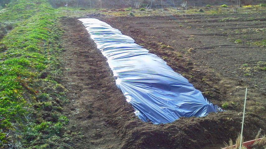 f:id:nyancotan:20200425062900j:plain f:id:nyancotan:20200425062900j:plain