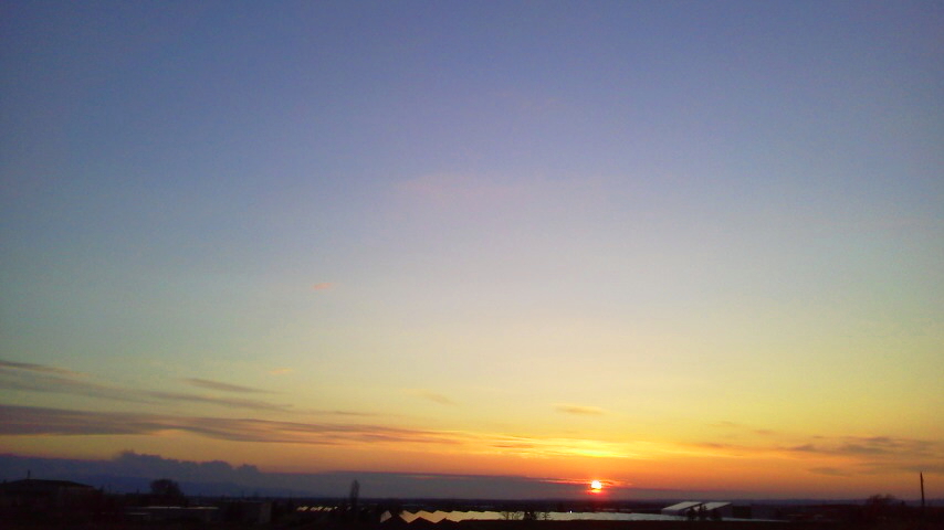 f:id:nyancotan:20200428182400j:plain