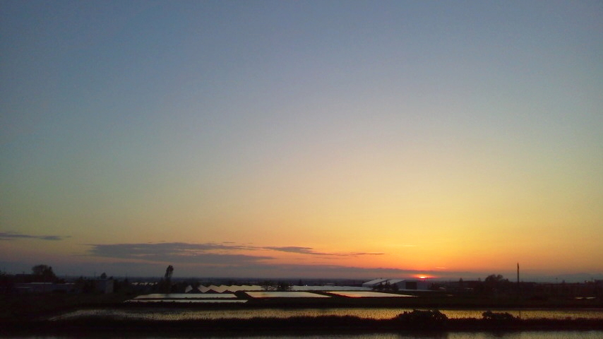f:id:nyancotan:20200521185400j:plain
