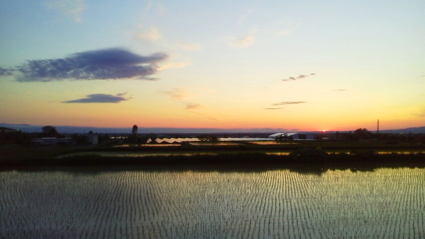 f:id:nyancotan:20200528190100j:plain