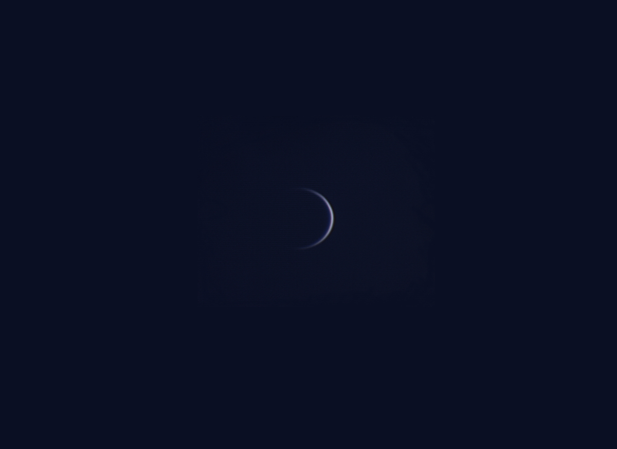f:id:nyancotan:20200530065421j:plain f:id:nyancotan:20200530065421j:plain