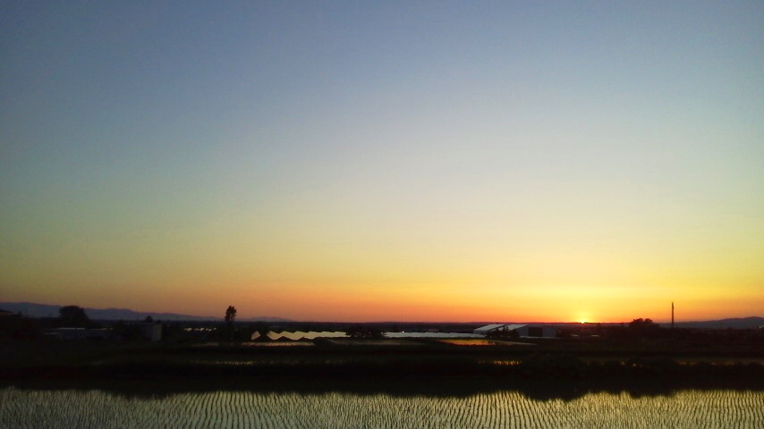f:id:nyancotan:20200531190300j:plain