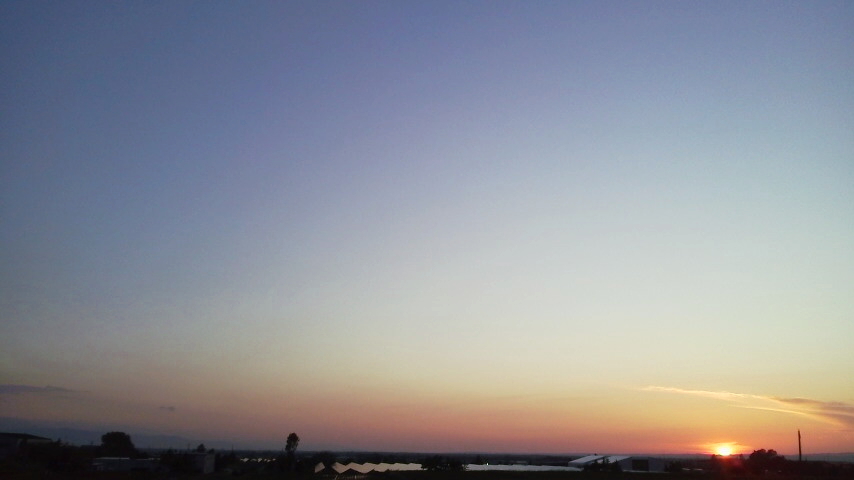 f:id:nyancotan:20200613191100j:plain
