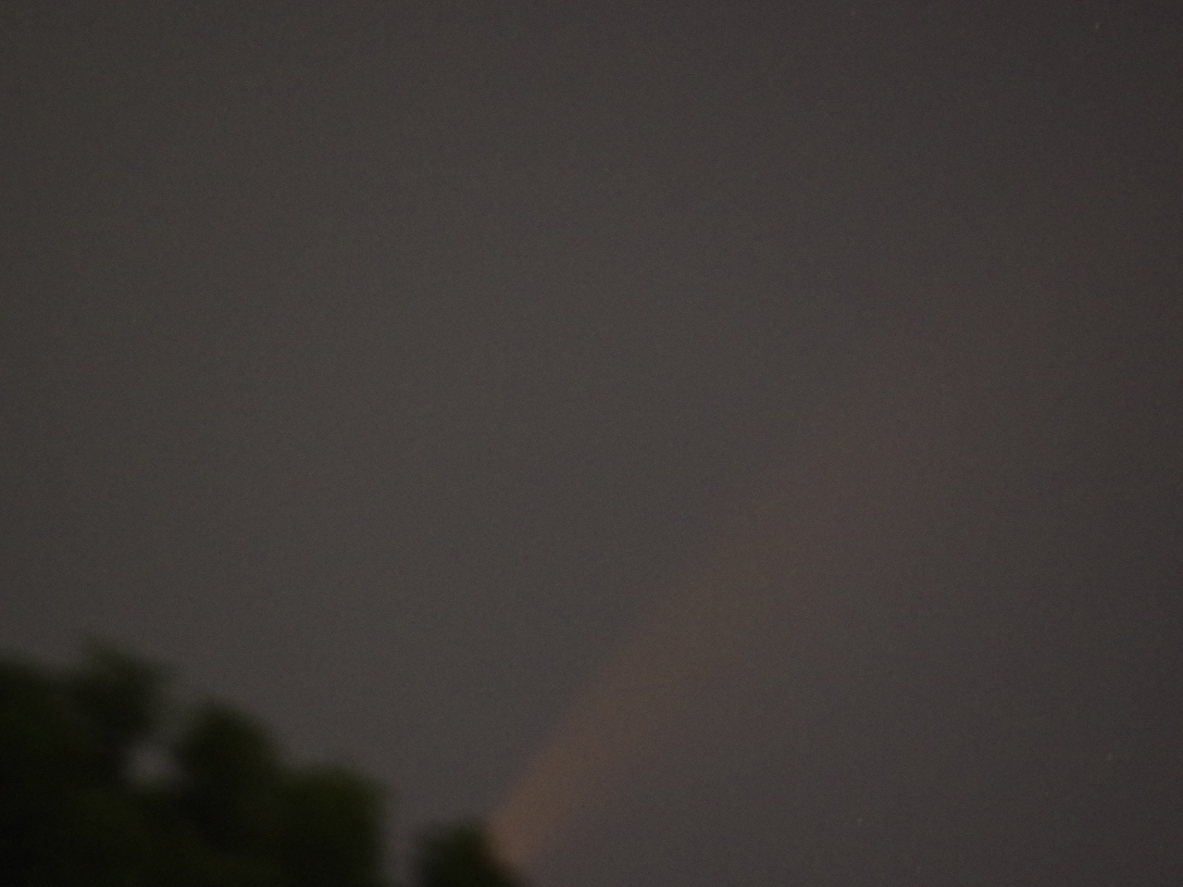 f:id:nyancotan:20200710020144j:plain