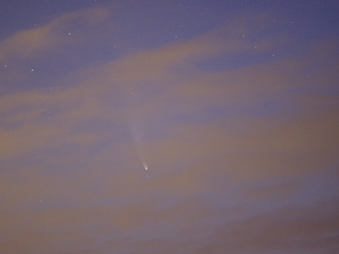 f:id:nyancotan:20200714023518j:plain