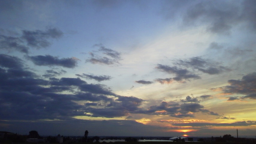 f:id:nyancotan:20200726185600j:plain f:id:nyancotan:20200726185600j:plain