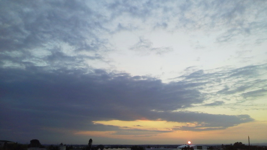 f:id:nyancotan:20200729185300j:plain