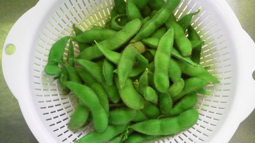 f:id:nyancotan:20200811172700j:plain