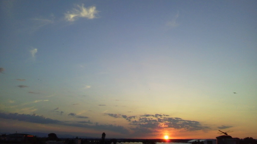 f:id:nyancotan:20200816183000j:plain