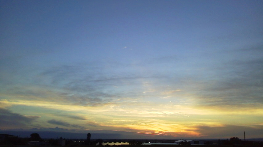 f:id:nyancotan:20200817183300j:plain f:id:nyancotan:20200817183300j:plain